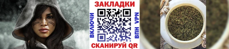 Купить наркотики сайты Выборг Псилоцибиновые грибы  МЕФ  Cocaine 