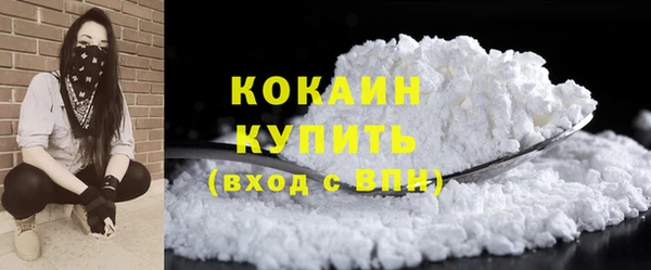 дживик Покров