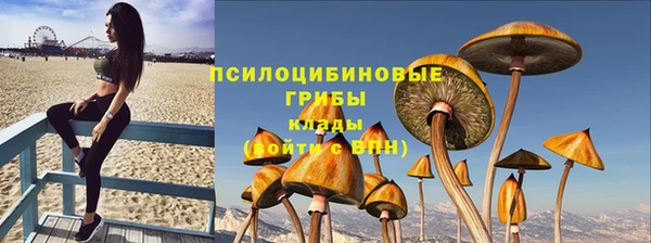 дживик Покров