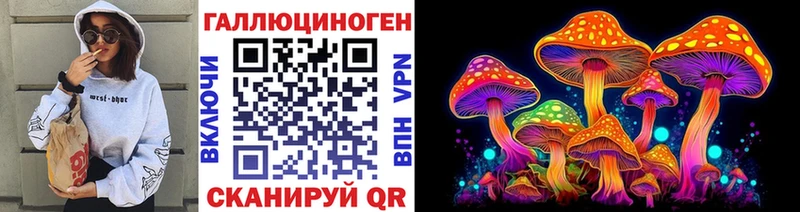Псилоцибиновые грибы мицелий  купить   Выборг 