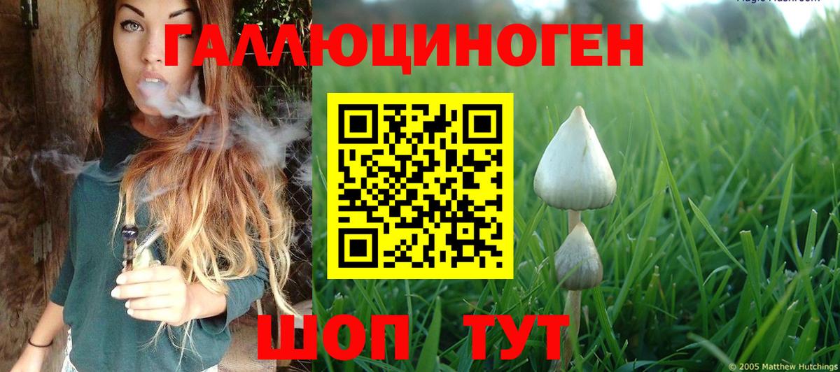 Галлюциногенные грибы мухоморы Выборг