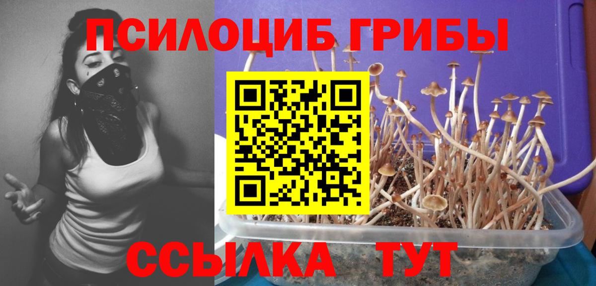 Галлюциногенные грибы Magic Shrooms  Галлюциногенные грибы MAGIC MUSHROOMS  Выборг  Вход с VPN 