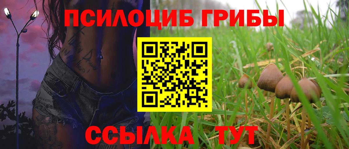 Галлюциногенные грибы мицелий  Галлюциногенные грибы Cubensis  Выборг 